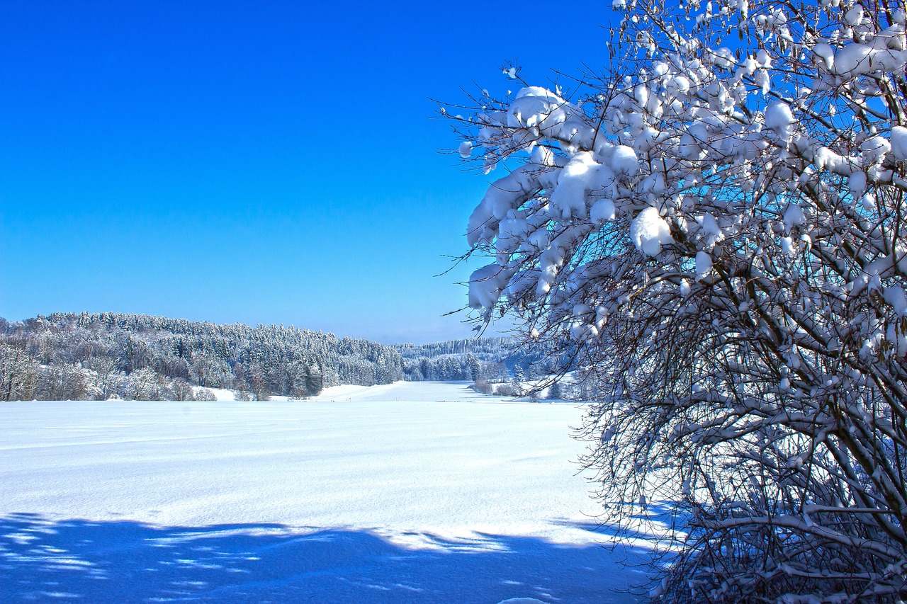 How to Paint a Snowy Winter Landscape